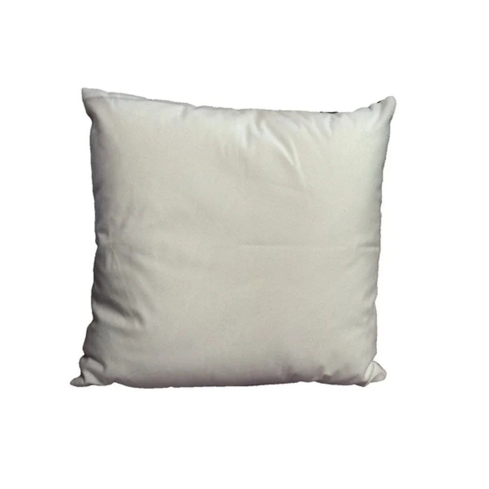 NEW novelty throw pillow‎ 18x18 inches pillowcase & insert included horror crime